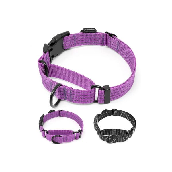 Adjustable Reflective Martingale Collar for Medium Large Dogs with Buckle