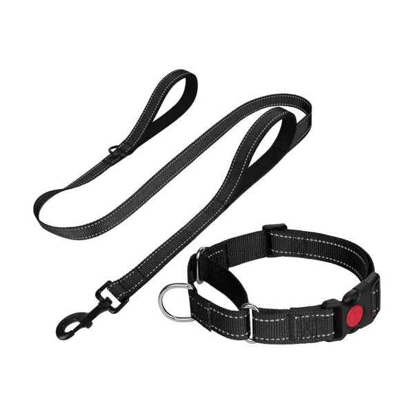 Adjustable Reflective Martingale Dog Collar and Leash Set for Medium Dogs