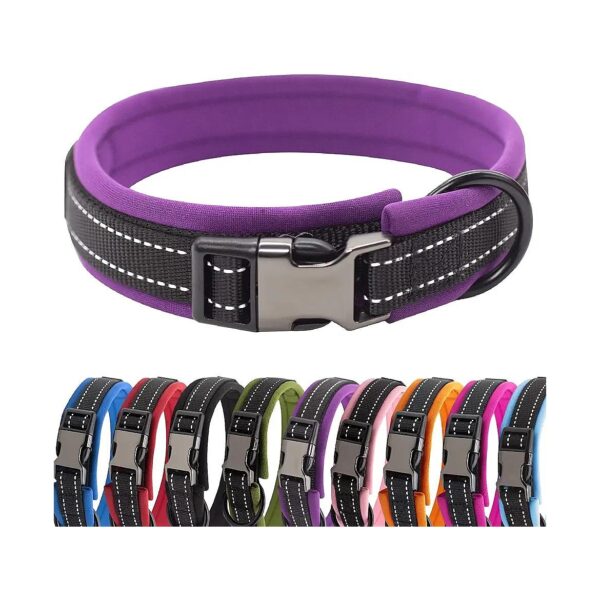 Adjustable Reflective Nylon Dog Collar with Metal Buckle for Small Medium Large Dogs