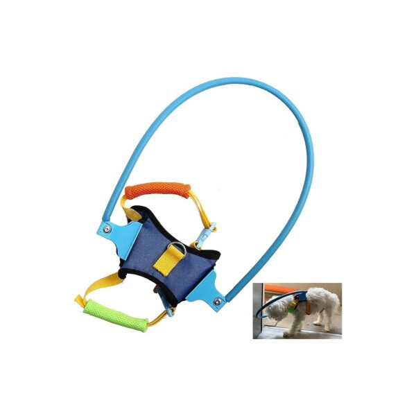 Adjustable Safety Harness for Blind Dogs with Comfortable Design