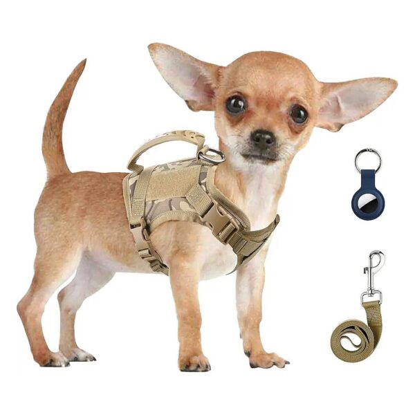 Adjustable Size Tactical Dog Harness with Leash and Handle for Small Dogs