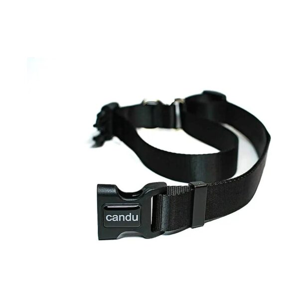 Adjustable Slip Leash Collar for Small to Large Breed Dogs with Built-in Extension