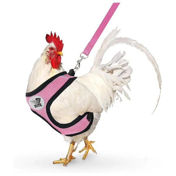 Adjustable Small Pet Harness with Leash for Chickens, Ducks, and Geese