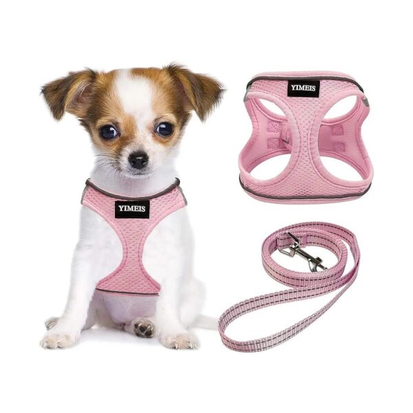 Adjustable Soft Dog Harness and Leash Set for Small Medium Large Dogs Cats