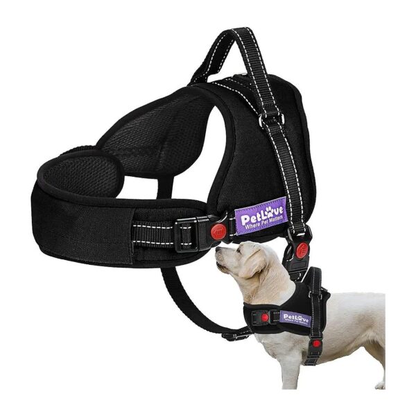 Adjustable Soft Leash Padded No Pull Dog Harness for Small Medium Large Dogs