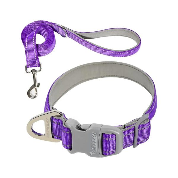 Adjustable Soft Neoprene Padded Dog Collar with Reflective Trim for Small to Large Breeds