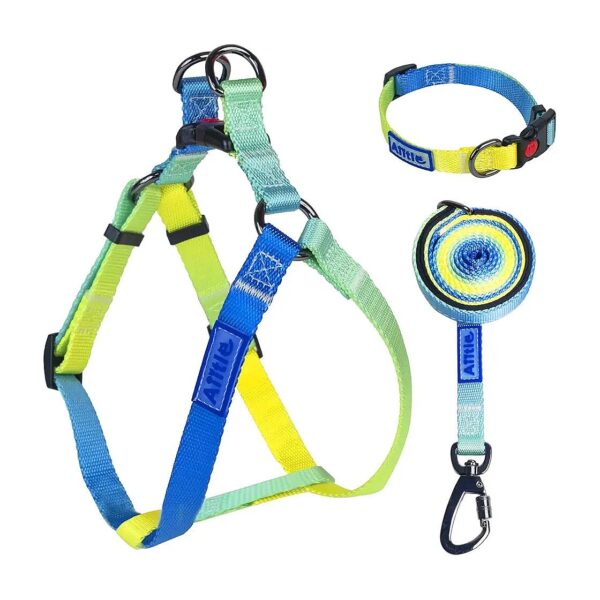 Adjustable Step-In Harness Collar Leash Set for Extra-Small Breed Dogs