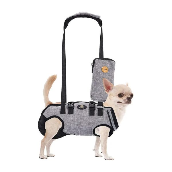 Adjustable Support Vest for Senior Dogs with Spinal Protection and Whole Body Support