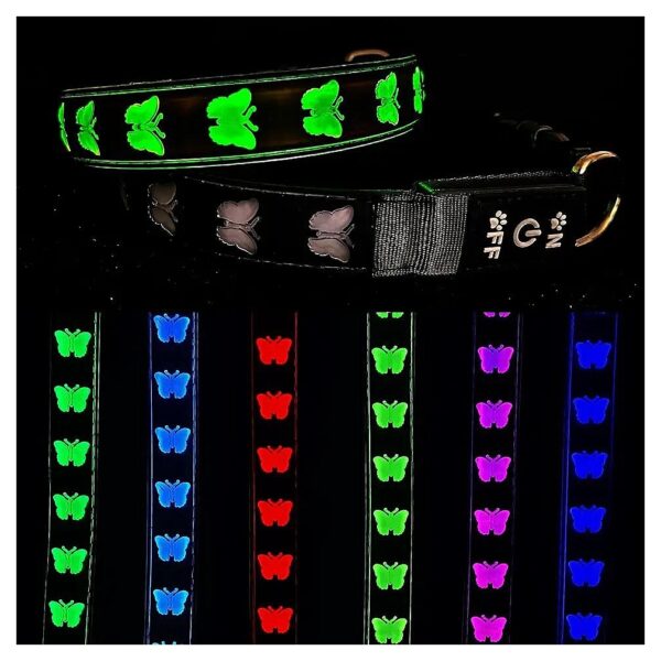 Adjustable USB-C LED Dog Collar with 15 Light Modes and 8 Colors