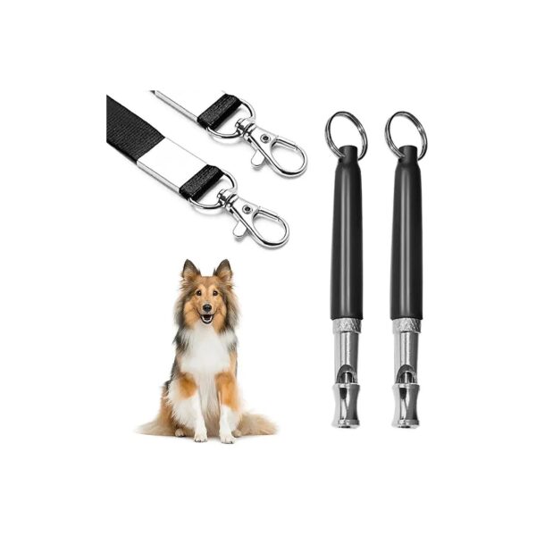 Adjustable Ultrasonic Dog Whistles for Training and Recall, 2 Pack with Lanyard