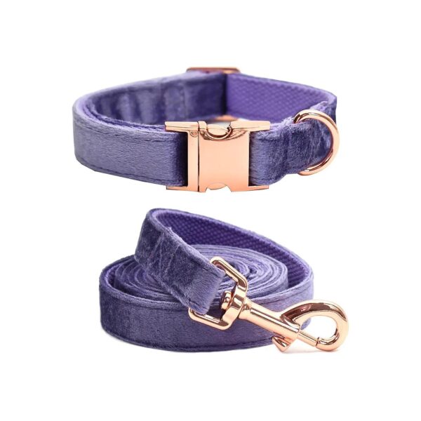 Adjustable Velvet Dog Collars and Leashes with Comfort Fit for Small Medium Large Dogs