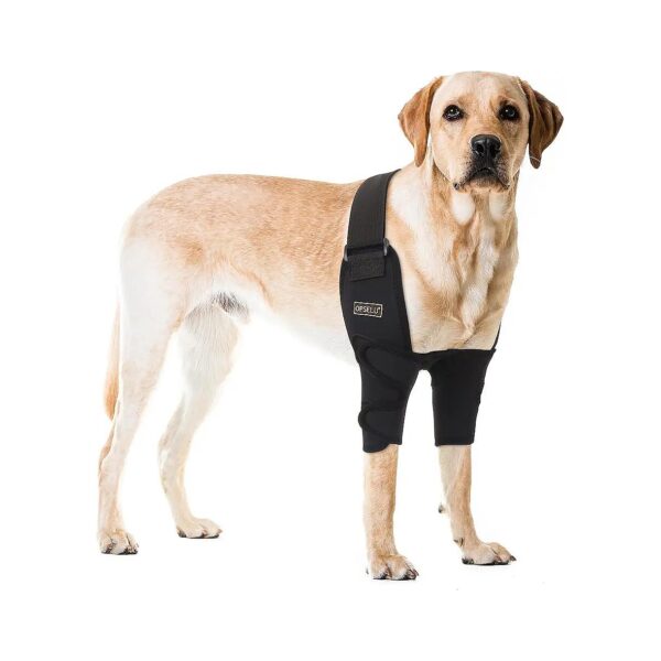 Adjustable and Reusable Dog Shoulder Braces for Canine Elbow Hygroma and Arthritis Relief