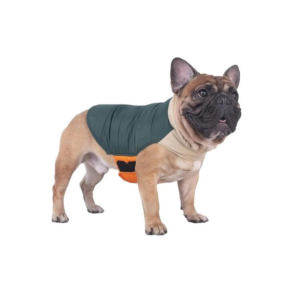 Adult Dog Winter Coats for Frenchies, Pugs, and Boston Terriers