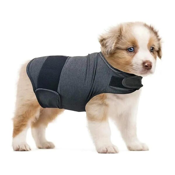 Advanced Anti Anxiety Vest for Small to Large Dogs, Dark Gray