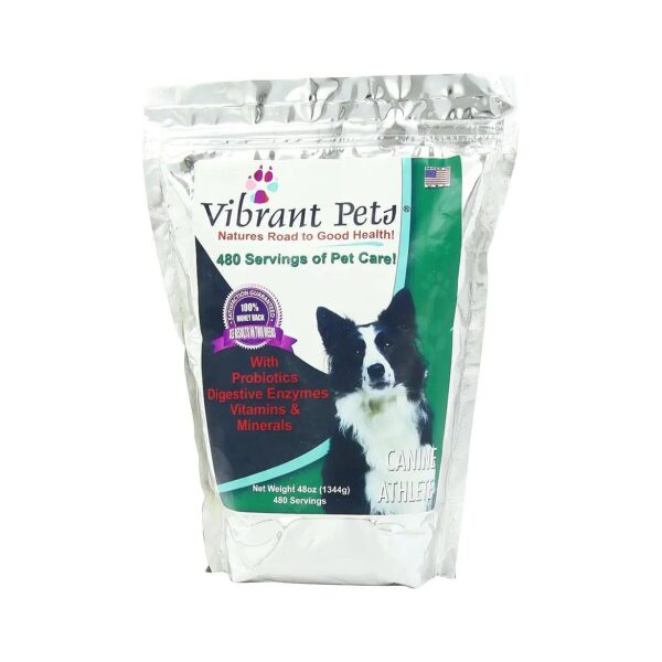 Advanced Canine Nutrition for Healthy Coats, Strong Joints, and Vigorous Energy