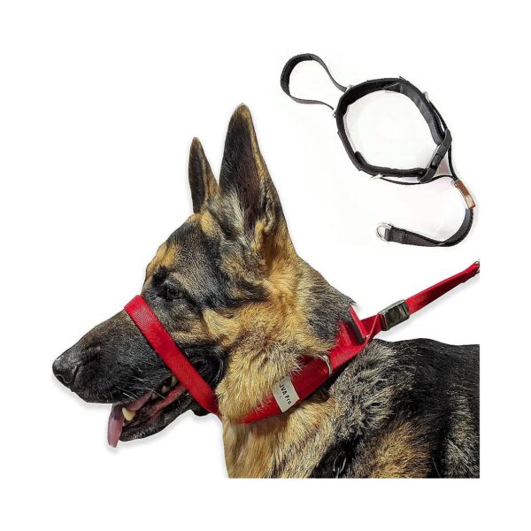 Advanced Comfort Dog Headcollar for Large Pulling and Reactive Dogs