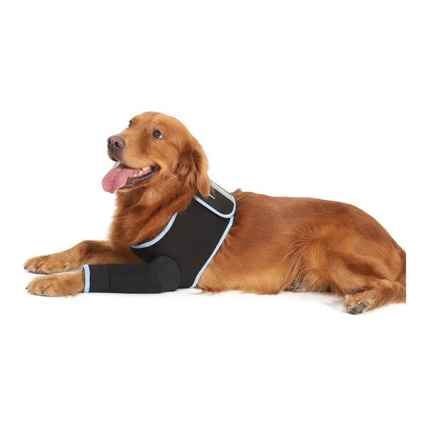 Advanced Dog Front Leg Protection Sleeve for Wounds and Seams