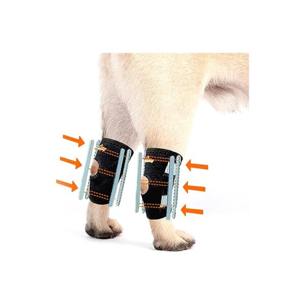 Advanced Hock and Ankle Support Braces for Short-Legged Dog Breeds