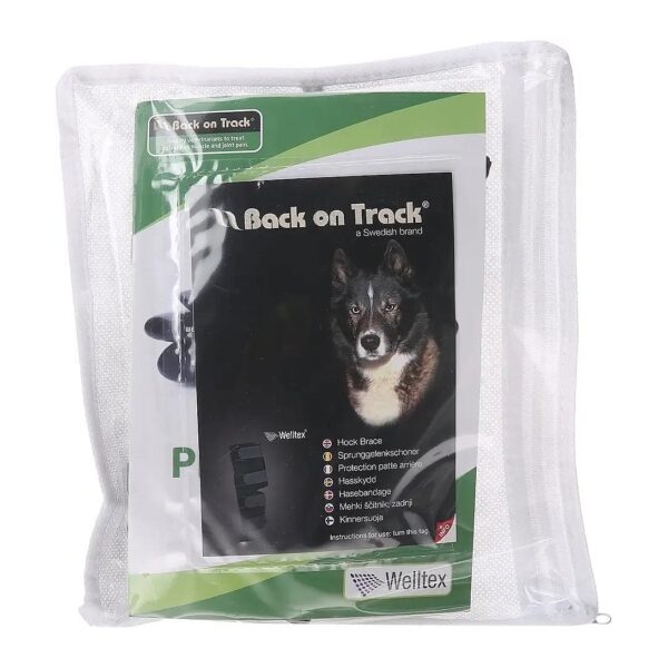 Advanced Technology for Reducing Chronic Inflammation and Pain in Dogs Hock Joint