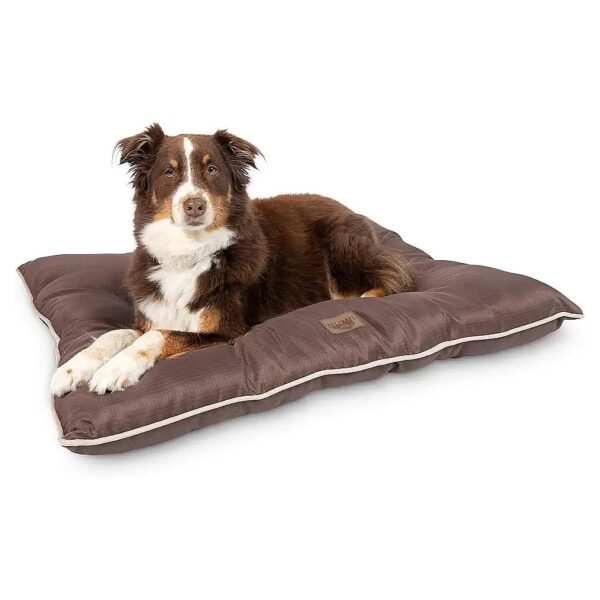 Affordable, High-Quality, Water-Resistant Dog Bed for Indoor or Outdoor Use