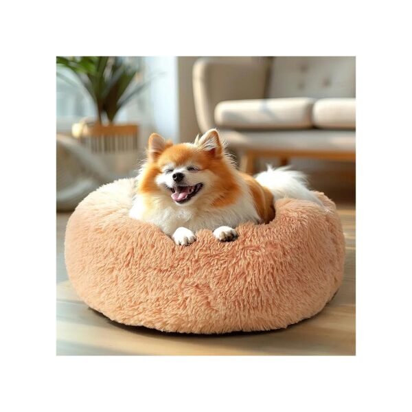 Affordable and Comfortable Dog Bed for Small Pets