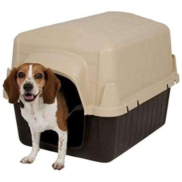 Affordable and Durable Pet Shelter for Small Dogs and Cats