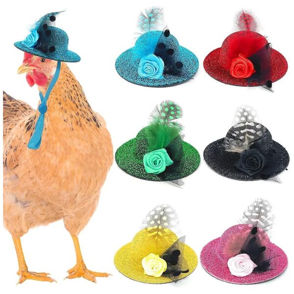 Affordable and Fun Chicken Hats for Chickens Bearded Dragons and Hamsters