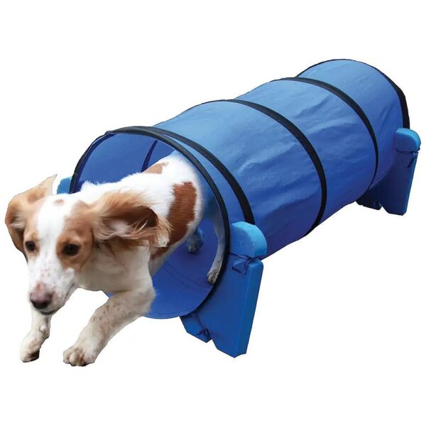 Agility Tunnel For Small Dogs Medium Breeds Foam Fabric Construction Outdoor