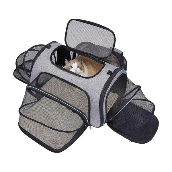 Airline Approved Expandable Pet Carrier for Cats and Small Dogs with Fleece Pad