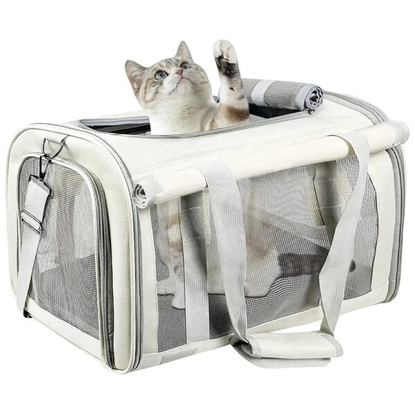 Airy and Secure Pet Carrier for Medium and Large Cats and Dogs with Ventilation