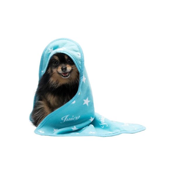 All-Age Turquoise Blue Hooded Microfiber Dog Drying Towel with Snap Closure