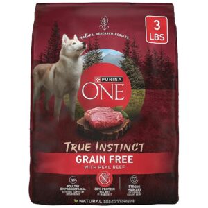 All-Natural Dry Dog Food with Real Beef and Vitamins and Minerals