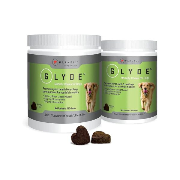 All-Natural Hip and Joint Relief Chew for Dogs with Glucosamine, Chondroitin, and Omega-3