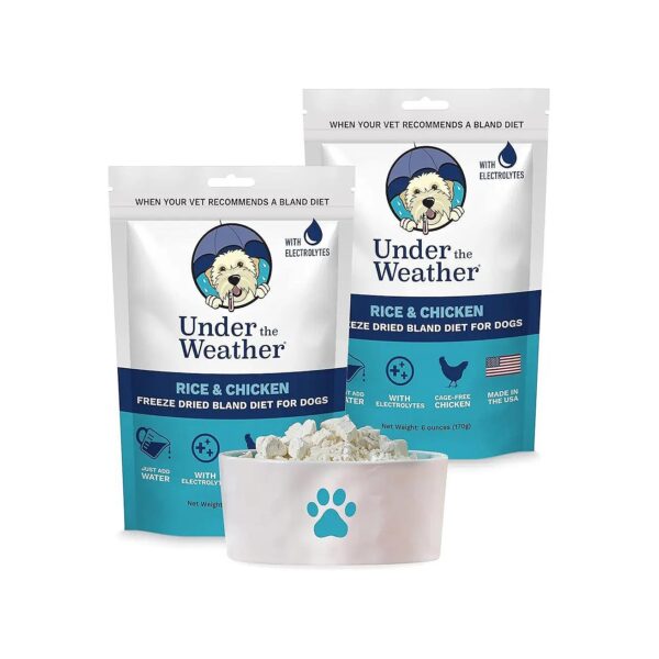 All-Natural and Veterinarian-Recommended Freeze-Dried Bland Diet for Dogs