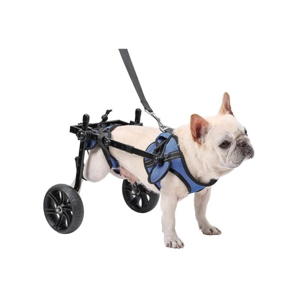 All-Terrain Dog Wheelchair with Durable Construction and Quality Bearings for Small Dogs