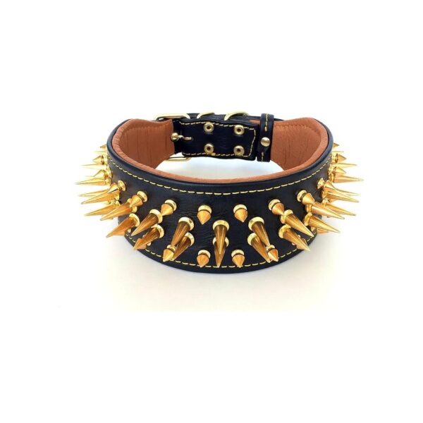 All-You-Need Leather Dog Collar with Gold Spikes for Pitbulls and Bullys