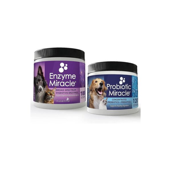 Allergy Relief and Digestive Health for Dogs and Cats with Natural Probiotics and Enzymes