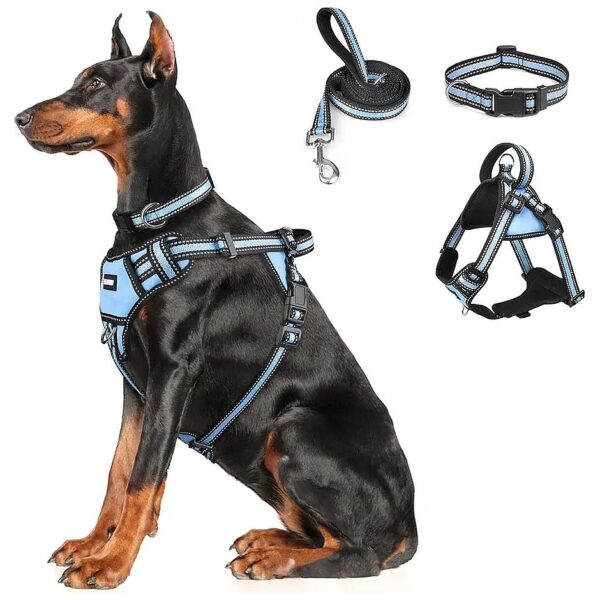 All-in-one Reflective Pet Harness and Leash Set for Dogs of All Sizes