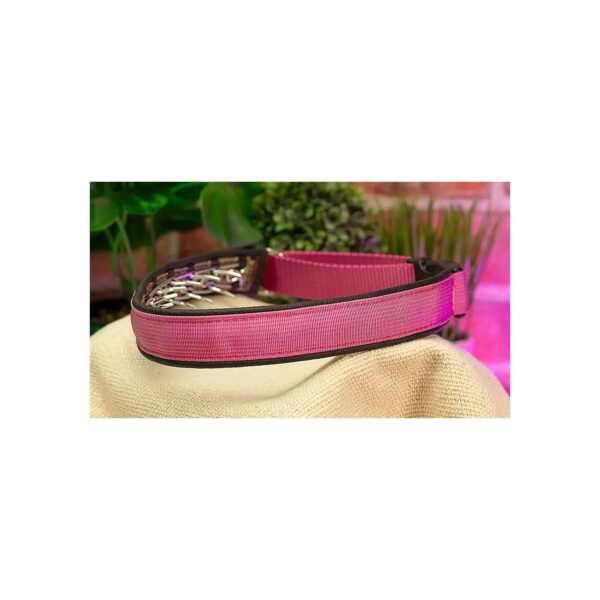 Alloy Steel and Leather Pink Keeper Collar with Hidden Prong Snap