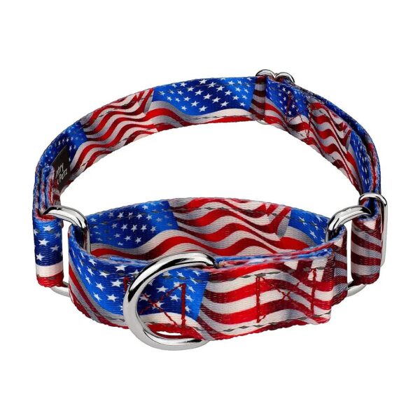 American Flag Print Reflective Martingale Collar for Small Medium and Large Dogs