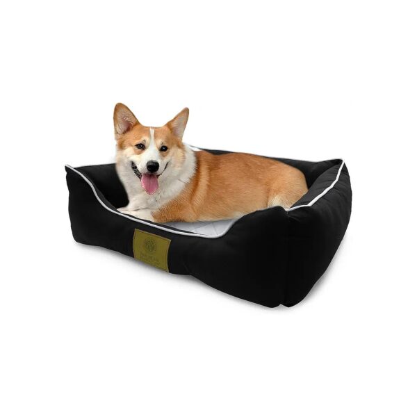 American Kennel Club Hypoallergenic Plush Pet Bed with High-Density Foam