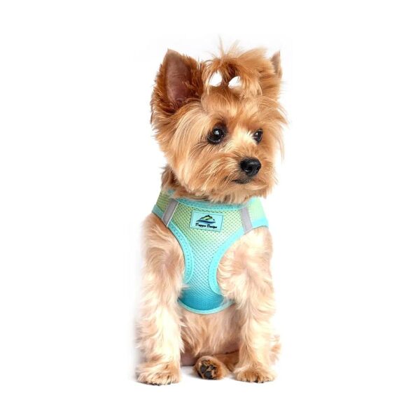 American River Ombre Collection Dog Harness Aruba Blue Medium