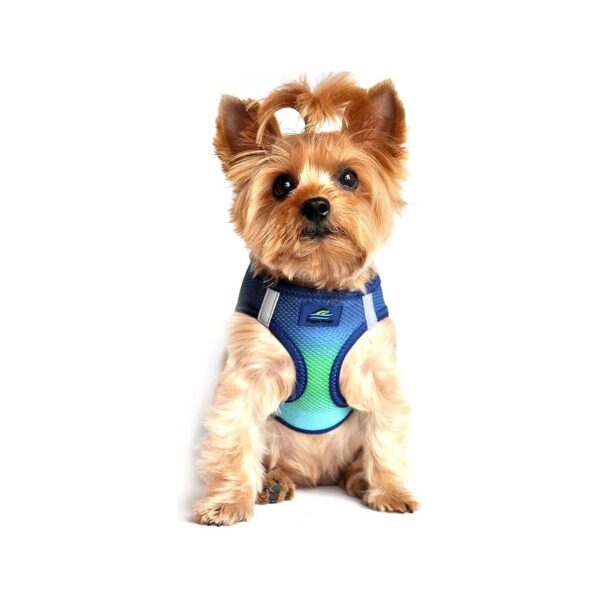 American River Ombre Dog Harness with Northern Lights Design