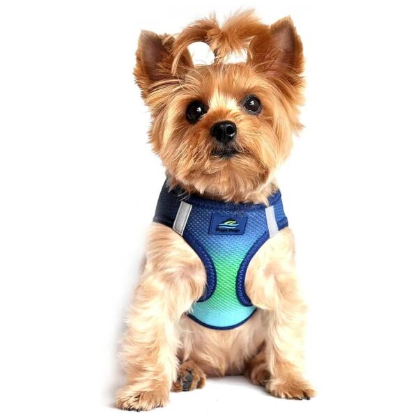 American River Patterned Harness with Reflective Strips and No-Choke Design