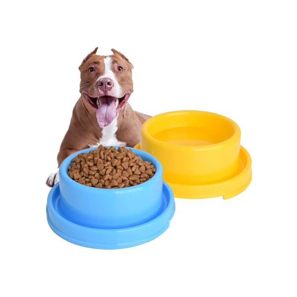 Ant-Proof and Stable Puppy Feeding Bowls with Raised Design