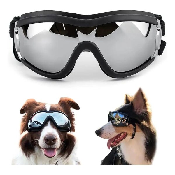 Anti-Broken Anti-Fog Dog Goggles with Adjustable Nylon Strap for Medium Large Breed Dogs