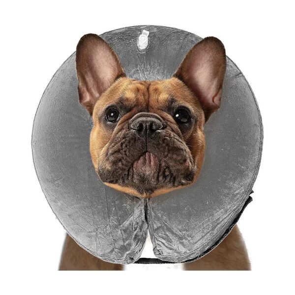 Anti-Choking and Anti-Allergic Recovery Cone Collar for Cats and Dogs After Surgery