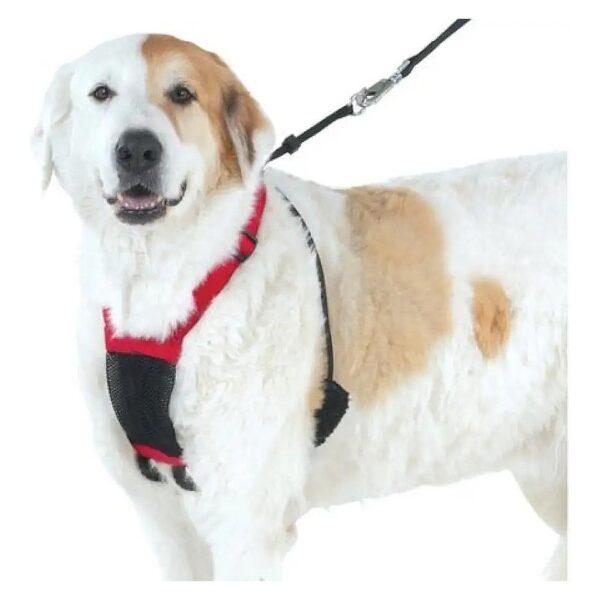 Anti-Pull Red Medium Mesh Dog Harness for Happy Paws