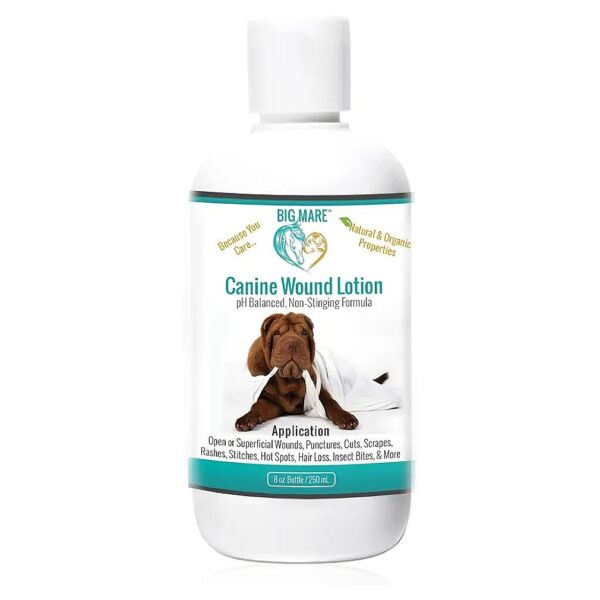 Antibacterial and Antifungal Wound Lotion for Canine Hot Spots and Open Wounds