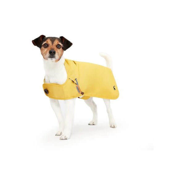 Antique Gold Raincoat for Small Dogs with Water-Resistant and Breathable Material